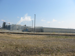 triumph foods 3-22-06
